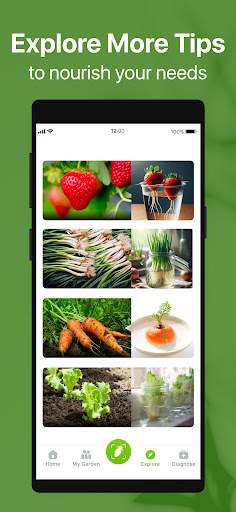 GrowIt: Vegetable Garden Care