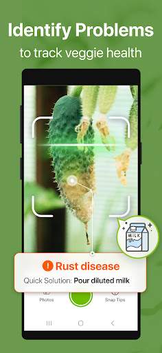 GrowIt: Vegetable Garden Care