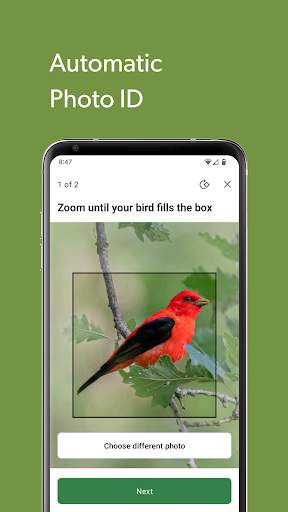 Merlin Bird ID by Cornell Lab